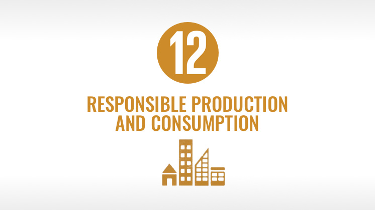 SDG 12: Responsible Consumption And Production - Iberdrola