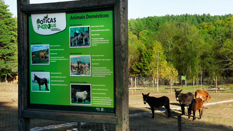 Parque Boticas, Naturaleza y Biodiversidad.