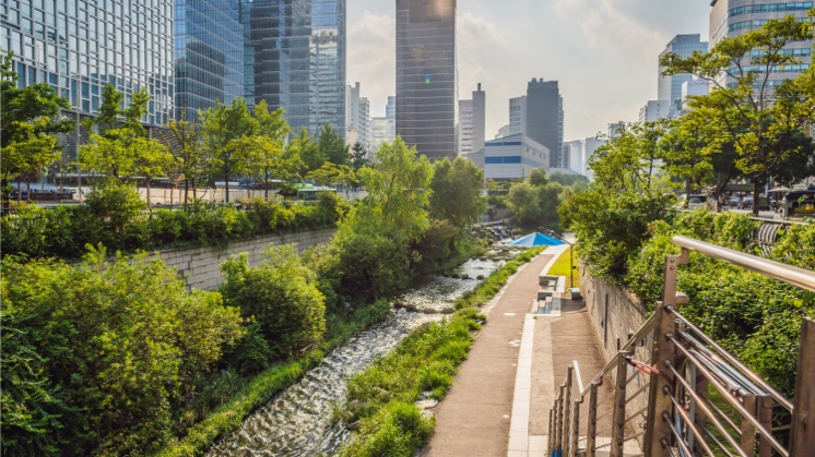 Cheonggyecheon, Seul.