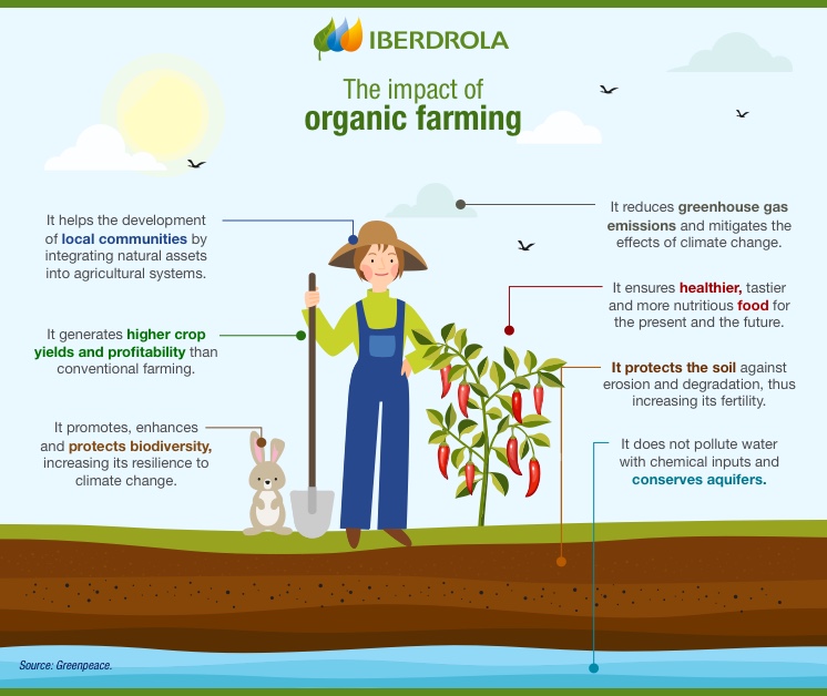 organic farming vs conventional farming