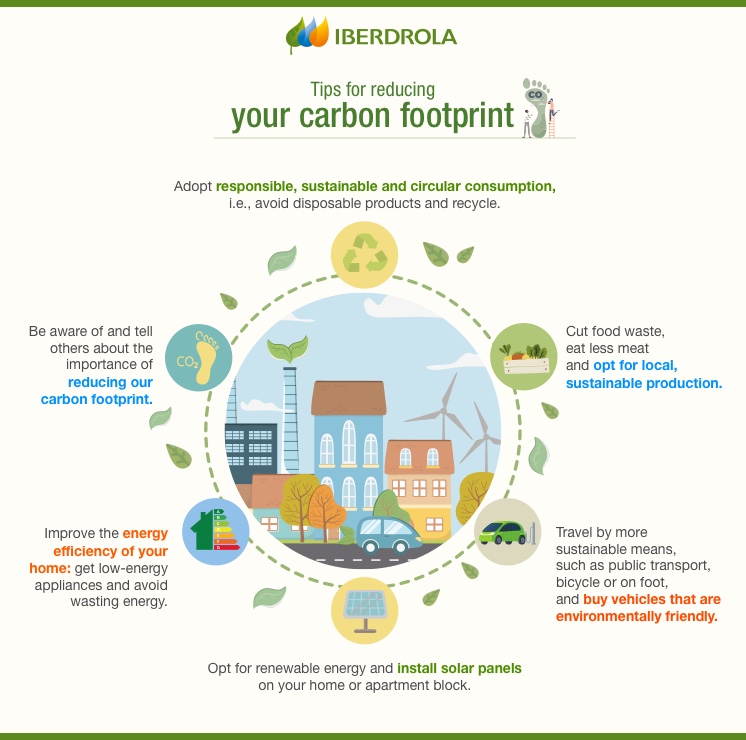 What Is Carbon Neutral? | Carbon Neutral Countries - Iberdrola