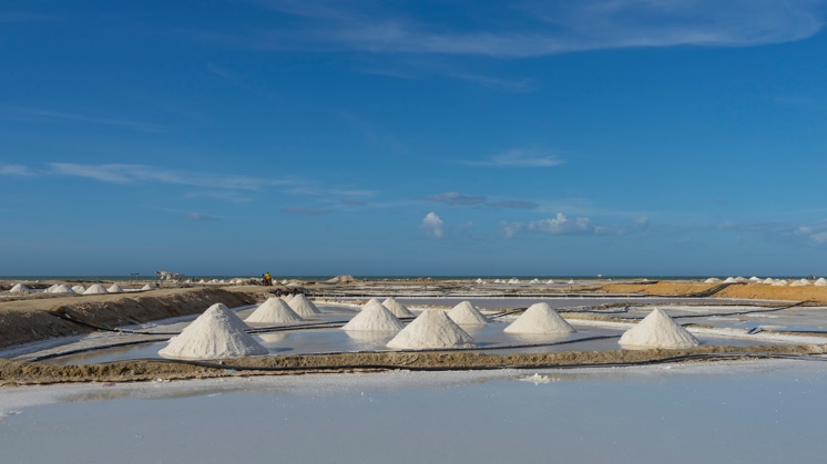 Podría ser el agua de mar una solución a la escasez del agua