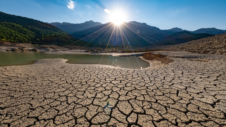 What Is Desertification? Causes And Consequences - Iberdrola