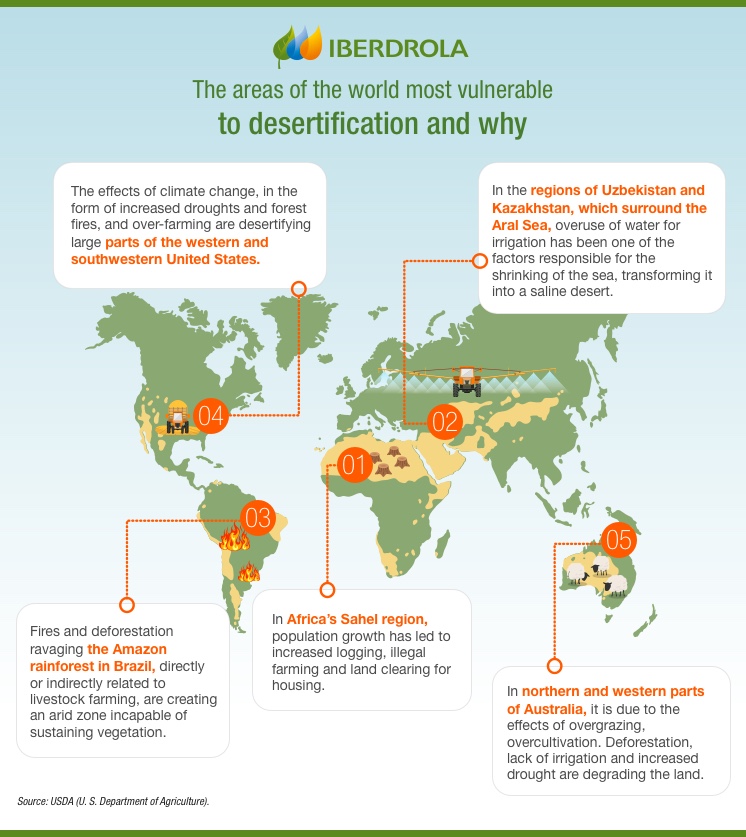 What Is Desertification? Causes And Consequences - Iberdrola