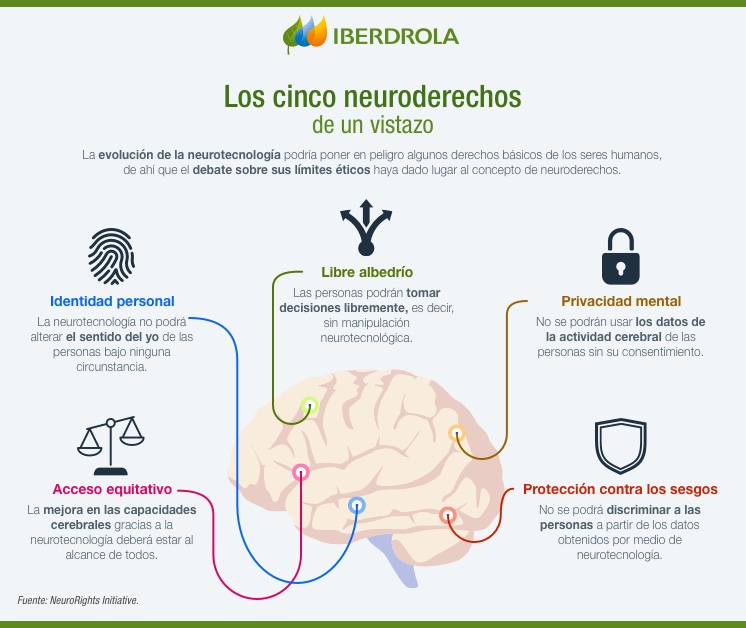 Neuroderechos Qué Son Y Su Relación Con La Neurociencia Iberdrola 7174