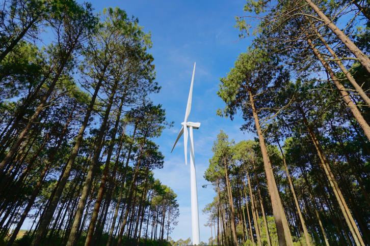 Image of a wind farm