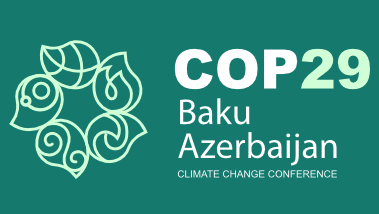 COP29