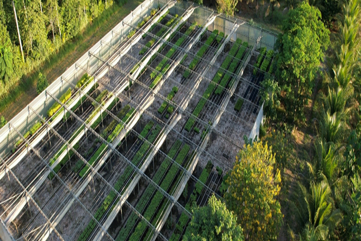 Carbon2Nature Brasil se alía con Biomas en un proyecto de restauración de bosque nativo en el país