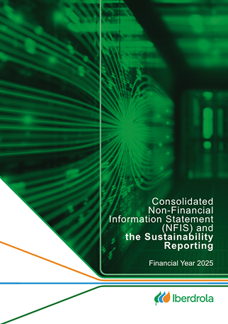 Statement of Non-financial Information. Sustainability Report 2025