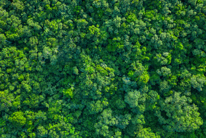 Informe sostenibilidad