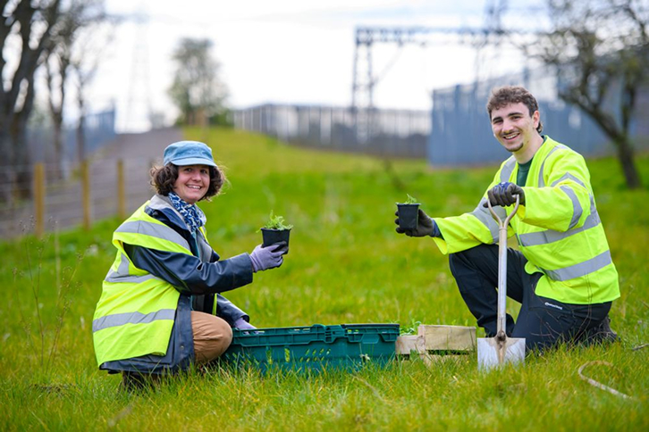 Iberdrola and Buglife are promoting a network of habitats for pollinators at electricity substations in Scotland
